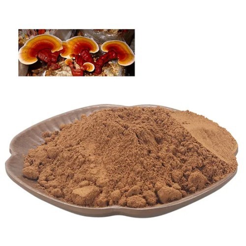 Organic Ganoderma Spore Powder best