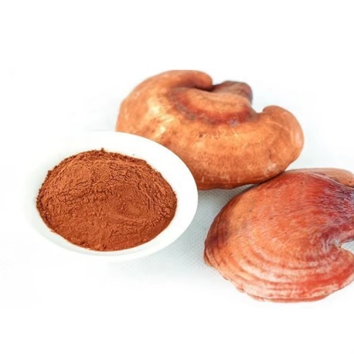 Organic Ganoderma Spore Powder high quality